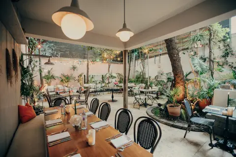 Überdachter Gastgarten bei Tag — ein Baum, Pflanzen und lange Tische